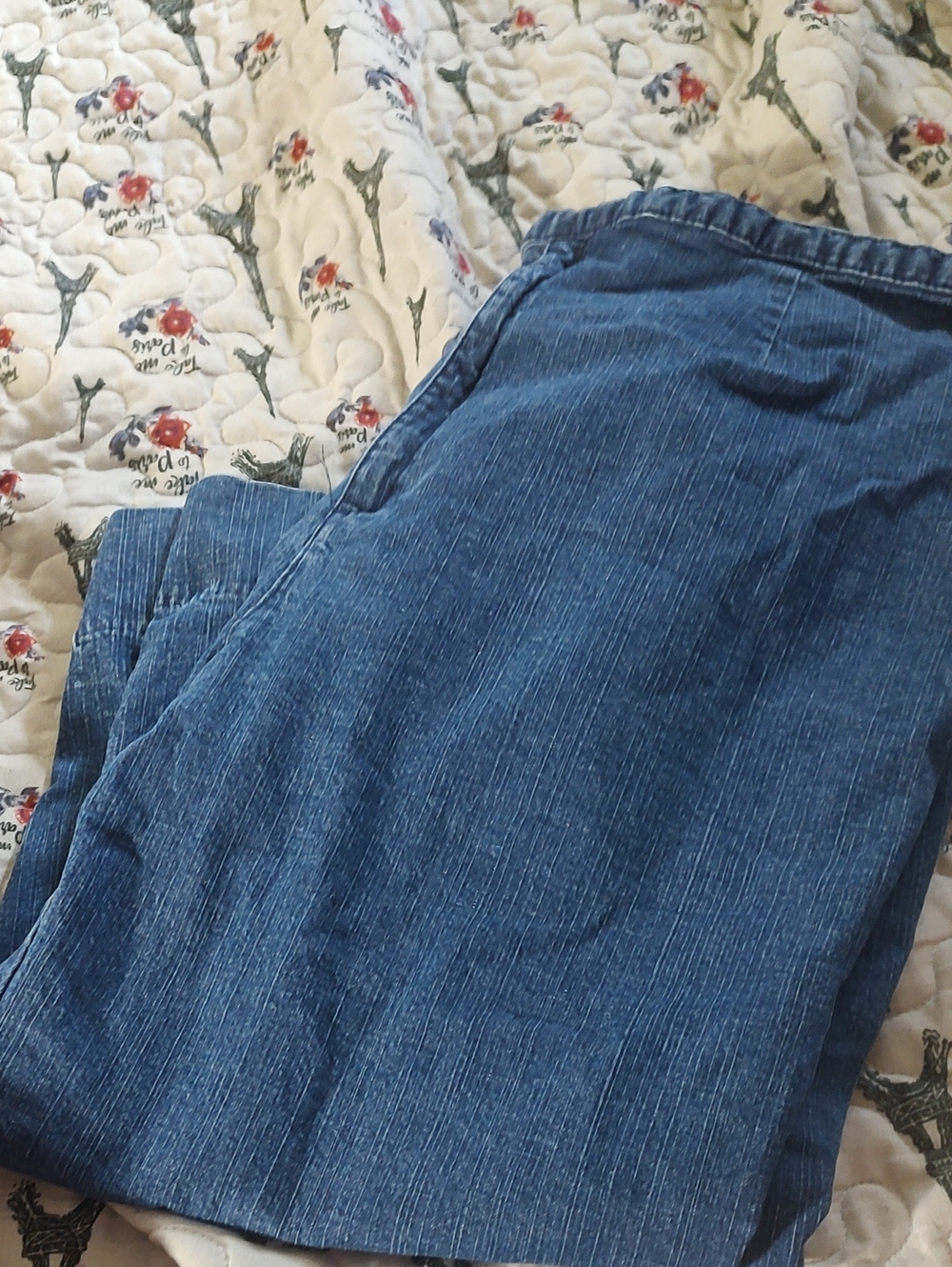 Kim Rogers Capris Pants